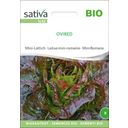 Sativa Bio Mini-Lattich 