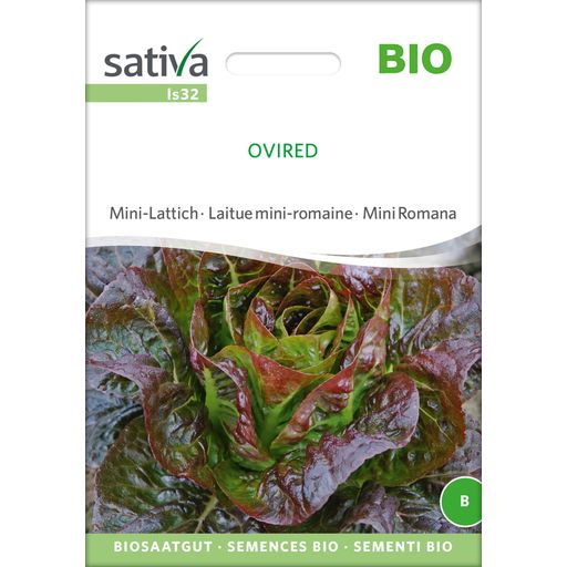 Sativa Bio Mini-Lattich 