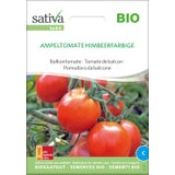 Bio Balkontomate "Ampeltomate Himbeerfarbige"