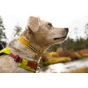Ruffwear Hi & Light Hundehalsband Lichen Green