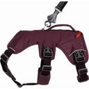 Ruffwear Web Master Hundegeschirr Purple Rain - XXS