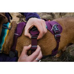 Ruffwear Web Master Hundegeschirr Purple Rain - XXS