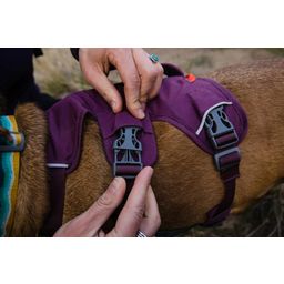 Ruffwear Web Master Hundegeschirr Purple Rain - XXS