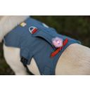 Ruffwear Web Master Hundegeschirr Slate Blue - XXS