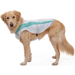 Ruffwear Swamp Kühlweste Sage Grün - xxs