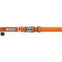 Front Range Hundehalsband Campfire Orange