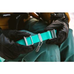 Ruffwear Confluence Hundehalsband Aurora Teal