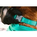 Ruffwear Confluence Hundehalsband Aurora Teal