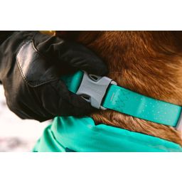 Ruffwear Confluence Hundehalsband Aurora Teal