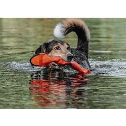 Hundespielzeug Nylon Aqua Mindelo orange 52cm - 1 Stk