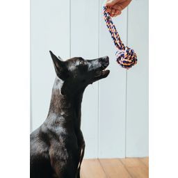 Hundespielzeug Ball mit Handschlaufe Jena 24cm - 1 Stk