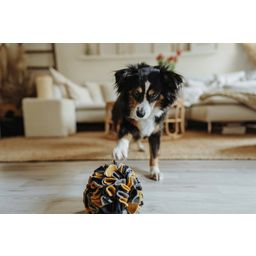 Hunter Hundespielzeug Schnüffelball Eiby - 1 Stk
