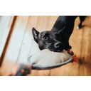 Hunter Toy Hund Tough Pombas Football 29cm - 1 Stk
