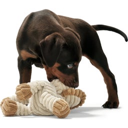 Hunter Hundespielzeug Huggly Zoo Lion 24 cm - 1 Stk