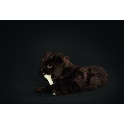 Hundespielzeug TPR Kisa Knochen, fluoreszierend, 10cm - 1 Stk