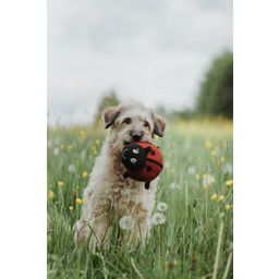 Hunter Hundespielzeug Florenz Marienkäfer - 1 Stk