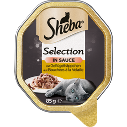 Schale Selection in Sauce mit Geflügelhäppchen