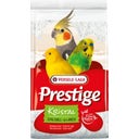 Versele Laga Prestige Muschelsand 5kg - Kristall