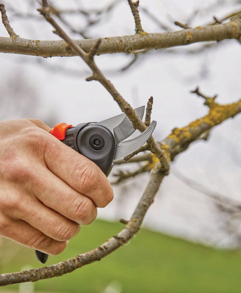 GARDENA Gartenschere ExpertCut - 1 Stk