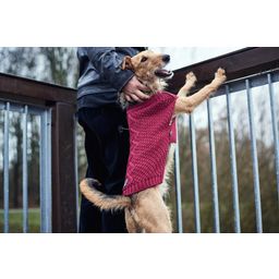 Hunter Hundepullover Malmö  Acryl bordeaux - 25cm