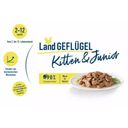 Meat in Sauce Kitten Geflügel Frischebeutel - 85 g