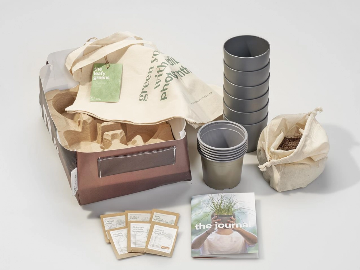 Anbau-Kit Salate & Mangold  - The Leafy Greens