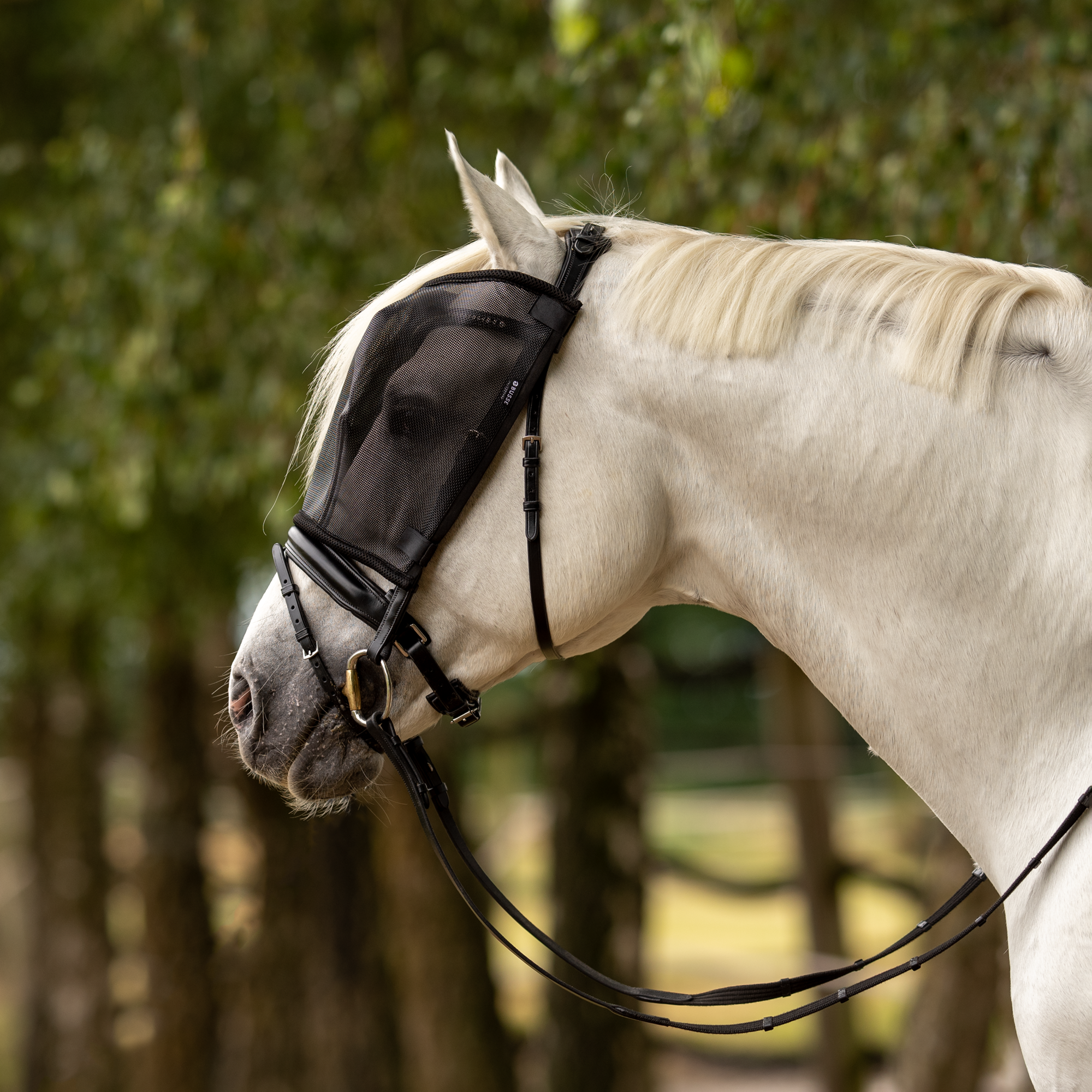BUSSE Fliegenmaske RIDING, schwarz