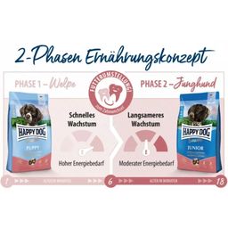 Trockenfutter Sensible Junior Huhn, Lachs und Kartoffel - 1 kg