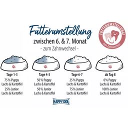 Trockenfutter Sensible Junior Huhn, Lachs und Kartoffel - 1 kg