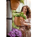 Regenfallrohrpflanzgefäß vibia campana 22cm - terra