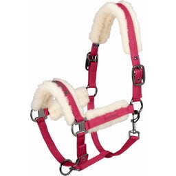 Halfter DOUBLEPIN GLOSSY EVO-WOOL, berryfusion