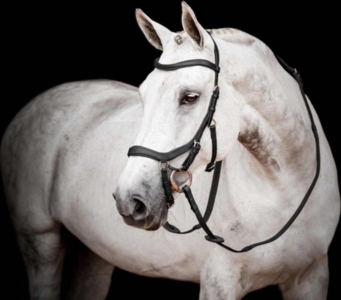 Horseware Ireland Micklem 2 Competition Bridle, schwarz