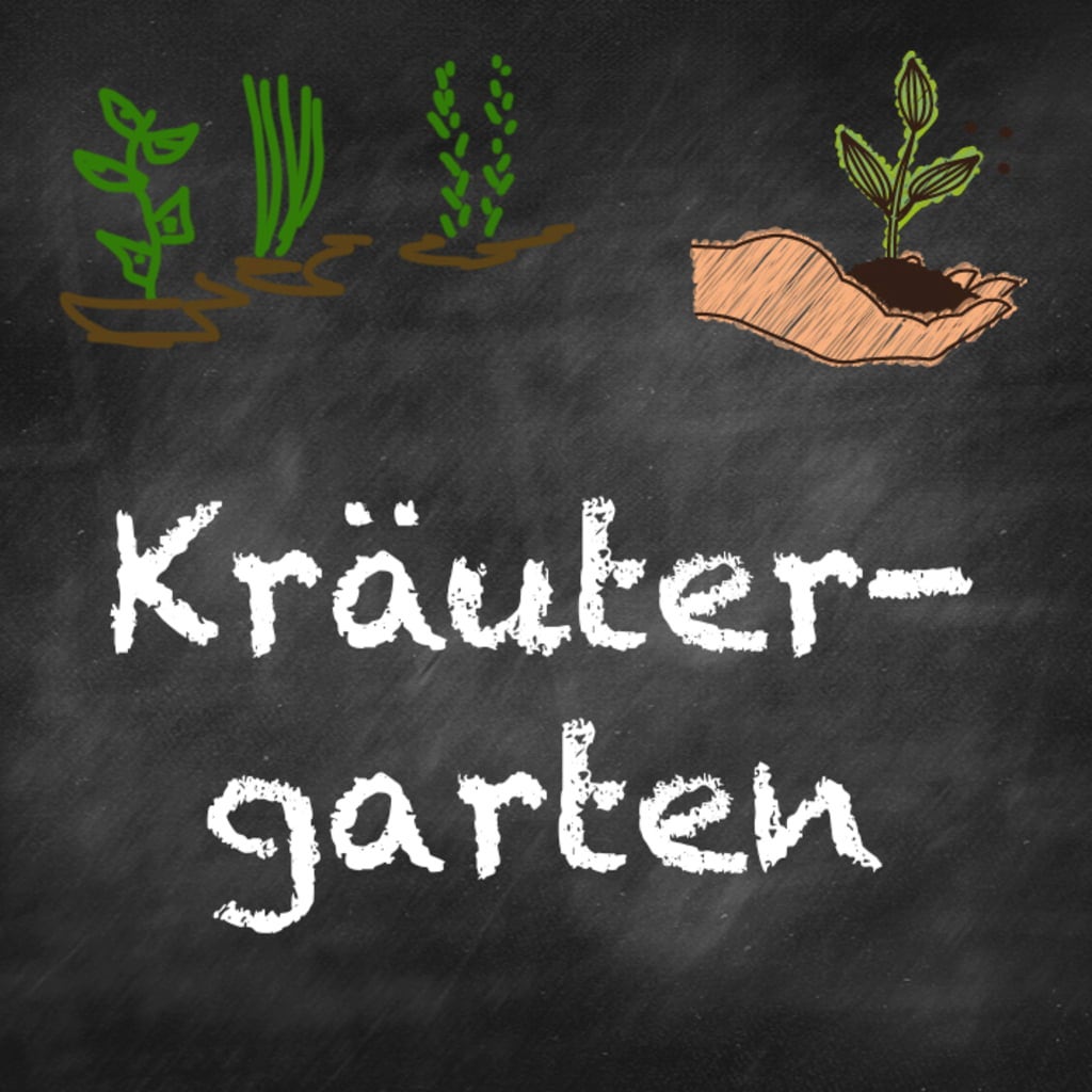Samen Maier Bio Beet-Box 