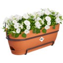 elho Balkonkasten vibia campana allin1, 50 cm - terra