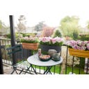 elho Balkonkasten vibia campana allin1, 50 cm - terra