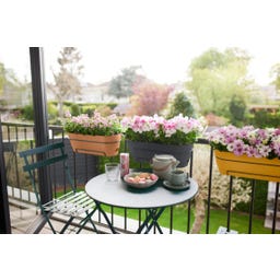 elho Balkonkasten vibia campana allin1, 50 cm - terra