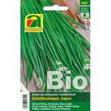 AUSTROSAAT Bio Schnittknoblauch