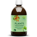 Multikraft Plants - 500 ml Flasche