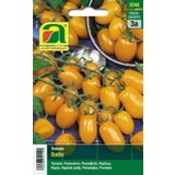 AUSTROSAAT Tomaten "Datlo"