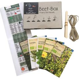 Samen Maier Bio Beet-Box "Für Tee-Liebhaber"