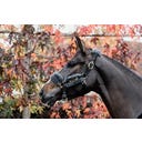 Kentucky Horsewear Nylon Halfter Schaffell grau