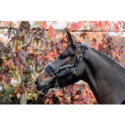 Kentucky Horsewear Nylon Halfter Schaffell grau