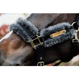 Kentucky Horsewear Nylon Halfter Schaffell grau