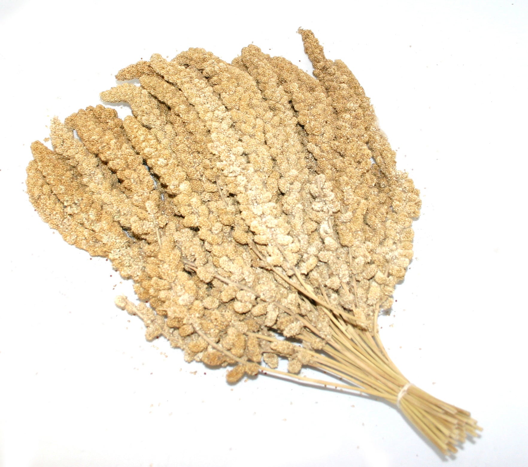 Duvoplus Kolbenhirse Chinesisch P30 15 kg