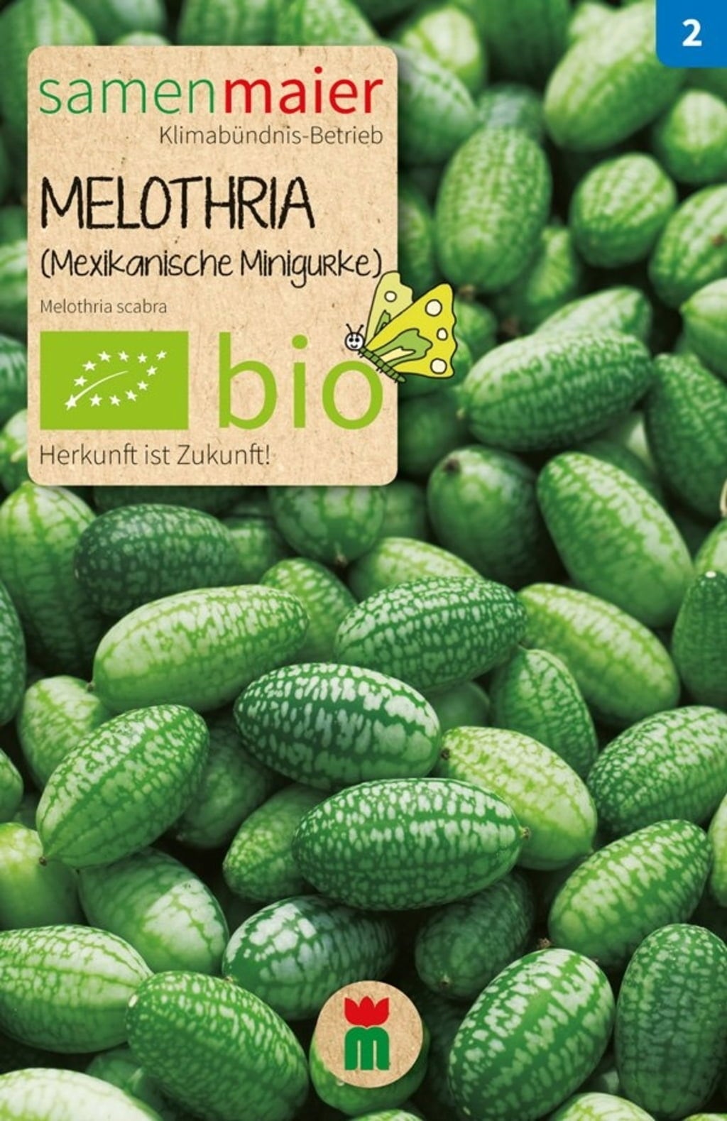 Samen Maier Bio Beet-Box 