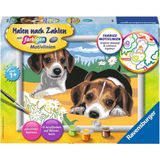 Malen nach Zahlen mit farbigen Motivlinien - Jack Russel Welpen