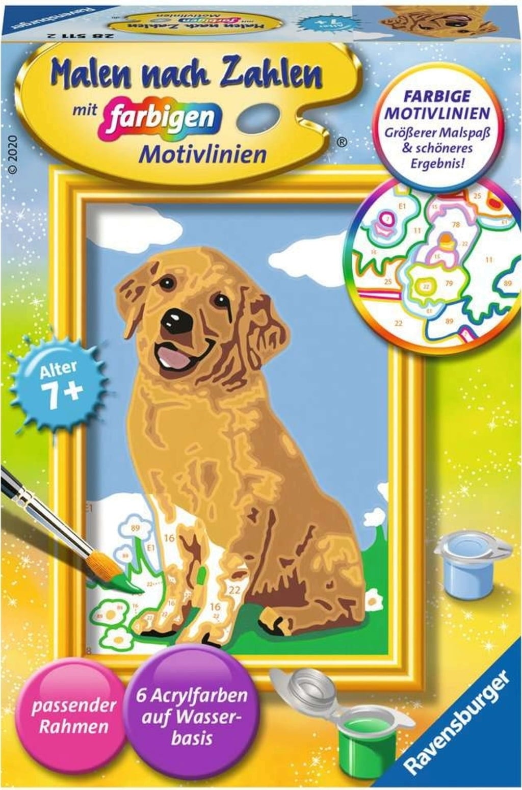 Malen nach Zahlen - Kleiner Golden Retriever