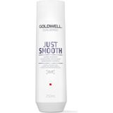 Goldwell Dualsenses Just Smooth Shampoo