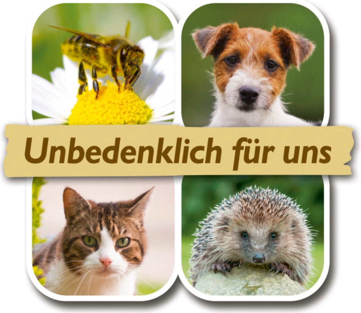 Neudorff BioKraft Grundstoff Schachtelhalm AF