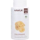 Hawlik Polyporus Extrakt Kapseln, Bio - 240 Kapseln